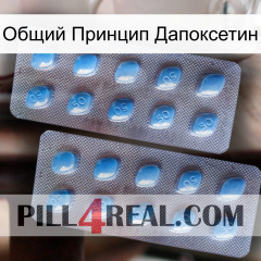 Общий Принцип Дапоксетин viagra4